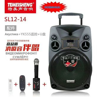 Караоке комбоусилитель Temeisheng SL12-14 с видеомикрофоном-суфлером