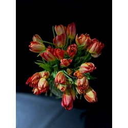 Тюльпаны пионовидные 25 шт