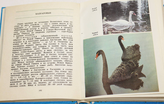 Епифановский Н.И., Иерусалимский И.Г. В мире животных. Ростов-на-Дону: Литера-Д. 1994.