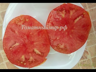 Томат Зарево