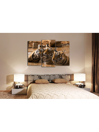 Модульная картина "Тигры в воде"