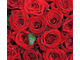 Коробка с красными розами, красные розы в коробке, розы в коробке, красные розы, недорогой букет