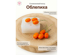 Молд "Облепиха"