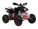 Спортивный квадроцикл IRBIS ATV250S