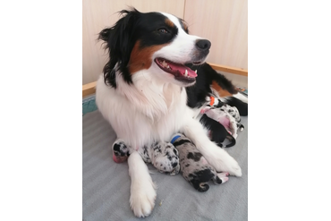 Гордая мамочка Аля