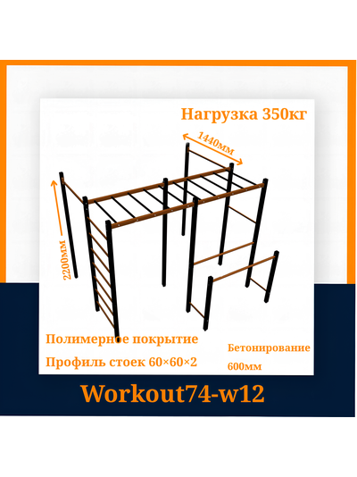 Спортивная площадка Workout W12 + гнездо