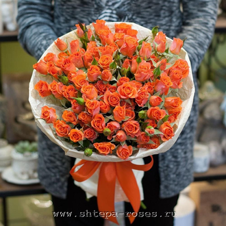 Алегрия
