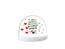 Водяной шар на 23 февраля №17