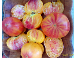 Томат Бурракерские любимцы (Burracker's Favorite)