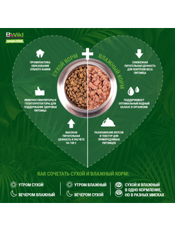 Корм котят и крупных кошек Monge BWild Grain Free беззерновой из мяса буйвола 10 кг