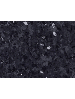 Toro BLACK 0103