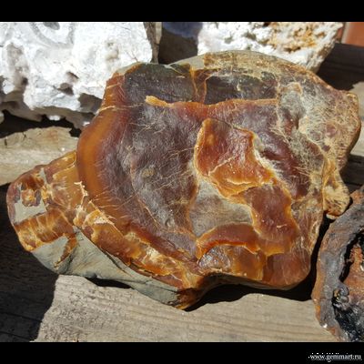 Симбирцит (Кальцит) — галтовка рекой