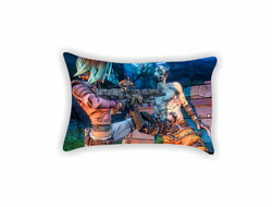 Подушки Borderlands, Бордерленд №24