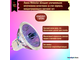 BLV WhiteStar EXT 6500K 50w 12v 12° GU5.3