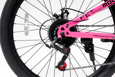 FET technics Limited Edition 24" Розовый (21 скорость, дисковые тормоза)
