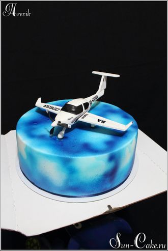 Торт с самолётом (3 кг.)