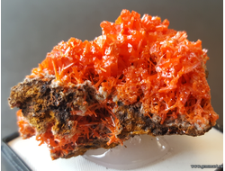 Крокоит — кристаллы на породе в пластиковом боксе. ААА