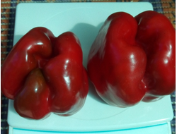 Перец сладкий Барборка
