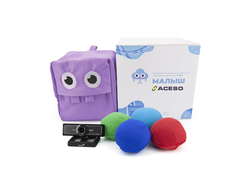 Развивающе-коррекционный комплекс МОБИ МАЛЫШ с видеобиоуправлением для младших дошкольников Амалтея