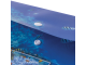 Папка-конверт с кнопкой BRAUBERG "SEA WORLD", А4, 160 мкм, до 100 листов, цветная печать, 228041