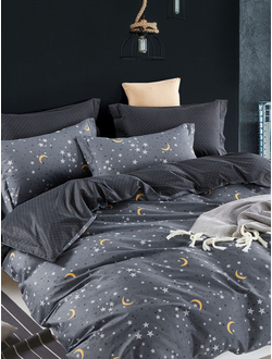 Постельное белье TANGO комплект сатин двуспальный 180x210x1 220x245x1 50x70x2 TS02-X113-50