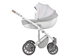 Коляска 2в1 Anex m/type Arctic