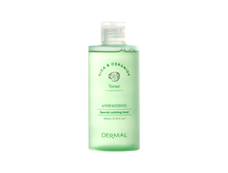 Dermal Cica & Ceramide Тонер с Центеллой Азиатской и Церамидами (200 мл)