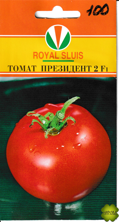 Томат "Президент -2" (высокорослый, лежкий)