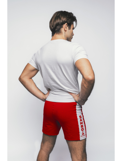 Шорты для самбо ВФС BRAVEGARD Победа красные