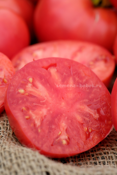 Томат Минусинский Низкий, 10 шт