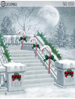 Фотофон виниловый «Лесенка в снегу»