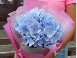 Букет гортензии "Лунный свет"