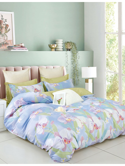 Постельное белье TANGO Twill сатин евро 200x220x1 230x250x1 50x70x2 70x70x2 TPIG6-1925