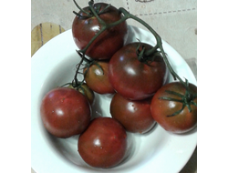 Семена томата Нуар дё  Петуле