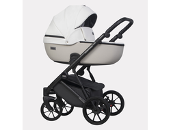 Коляска 2в1 Riko Basic Montana Ecco 32 White-Light Silver