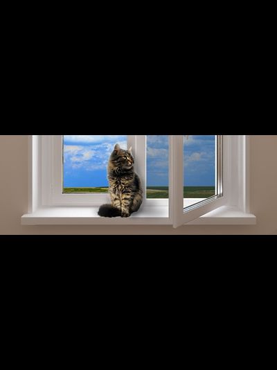 сетка антикошка