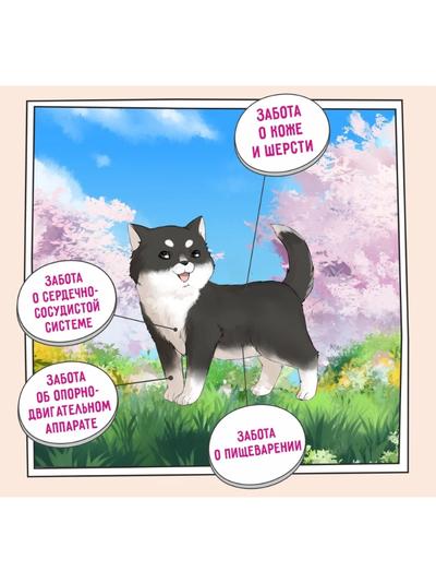 ZILLII Puppy Гипоаллергенный сухой корм для щенков  Индейка с Ягнёнком 15 кг