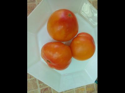 Томат Русский вихрь (Dwarf Russian Swirl) США