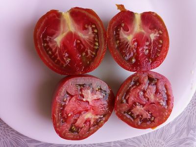 Томат Черный принц