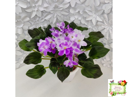 LV-Кирюша (Л. Шевелева) 2022 г. трейлер (пасынок посажен 15.08.25)