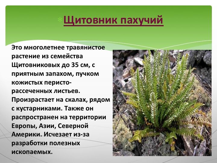 Красная книга казахстана цветы