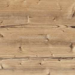 ЛЕС038 Столешница ЛЕ Ель золотистая-116