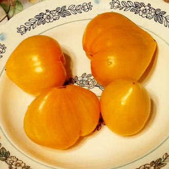 Семена томата Желтые гребешки / *нов 2025