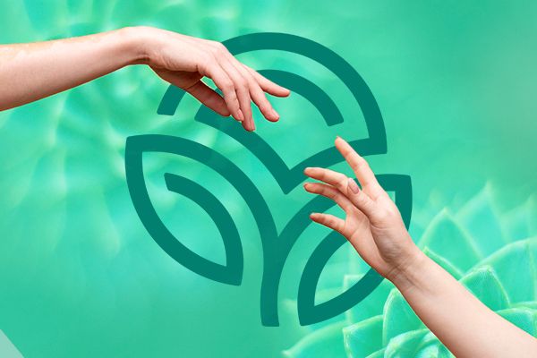 Бесплатные вебинары компании NSP в феврале 2022 года.