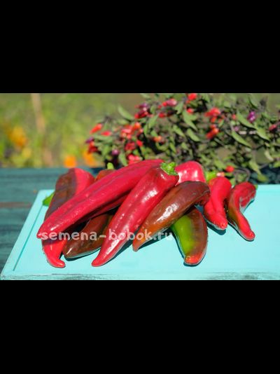 Перец сладкий The Godfather (Крестный Отец), 10 шт