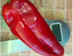 Перец сладкий Виктория