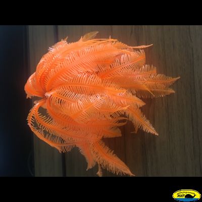 CA007R Коралл пластиковый (мягкий) красный 12*12*17см