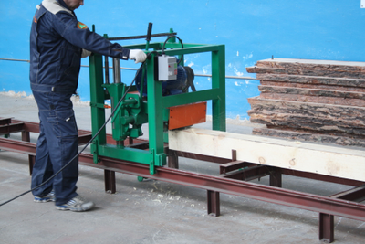 Станок для профилирования бруса Триумф СПБ 200, от