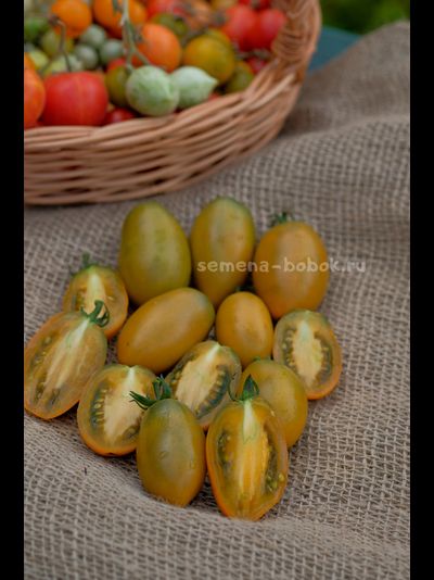 Томат Dwarf Laura’s Bounty (Лаура Баунти), 10 шт