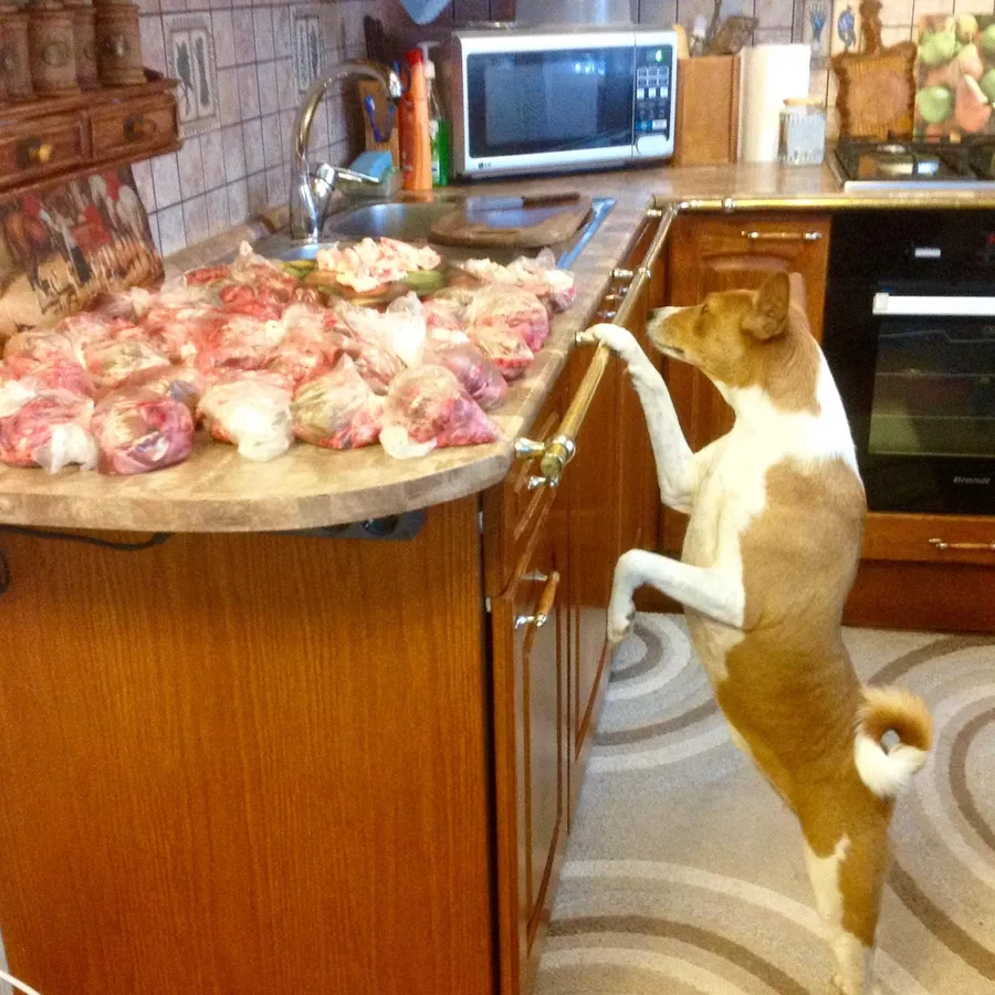 Хозяйка Светлана: "Благодарность от рыжей гурманки;-)"